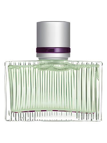 عطر ادکلن مینت تونی گارد - Mint Toni Gard - بررسی، قیمت و خرید