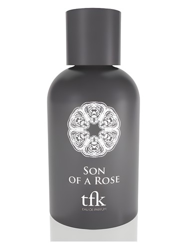 عطر ادکلن سون آو اِ روز دی فریگرنس کیچن - Son of a Rose The Fragrance Kitchen - بررسی، قیمت و خرید