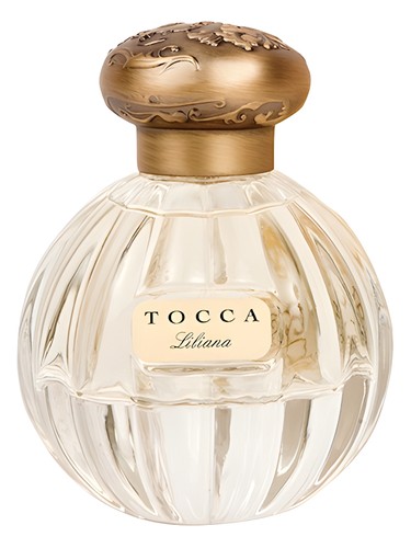 عطر ادکلن لیلیانا توکا - Liliana Tocca - بررسی، قیمت و خرید