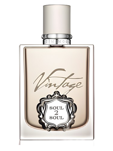 عطر ادکلن تیم مک‌گرا سول ۲ سول وینتج تیم مک‌گراو - Tim McGraw Soul2Soul Vintage Tim McGraw - بررسی، قیمت و خرید