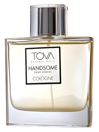 عطر ادکلن تووا هندسوم تووا بورلی هیلز - Tova Handsome Tova Beverly Hills - بررسی، قیمت و خرید