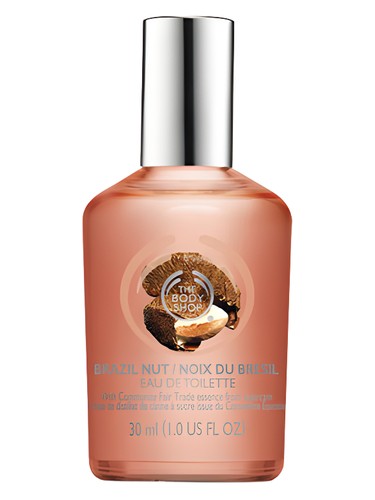 عطر ادکلن برازیل نات دِ بادی شاپ - Brazil Nut The Body Shop - بررسی، قیمت و خرید
