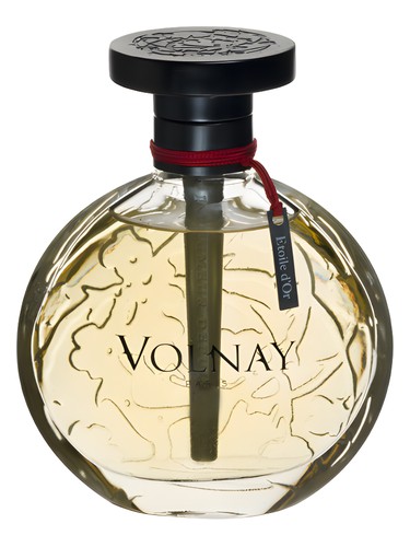 عطر ادکلن اتوآل دور ولنه - Etoile d'Or Volnay - بررسی، قیمت و خرید