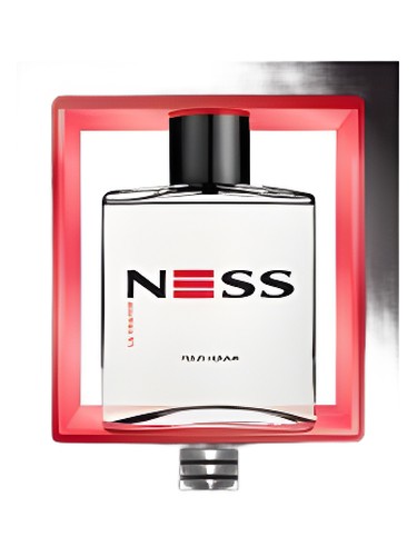 عطر ادکلن نس آلتیمیت اوافلور - Ness ULTIMATE Evaflor - بررسی، قیمت و خرید