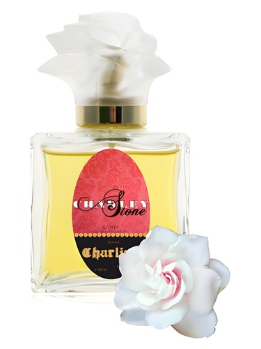 عطر ادکلن شارلین گای بوچارا - Charline Guy Bouchara - بررسی، قیمت و خرید