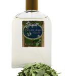 عطر ادکلن اُ دُ کُلُن دِ وِرت گای بوشارا - Eau de Cologne The Vert Guy Bouchara - بررسی، قیمت و خرید