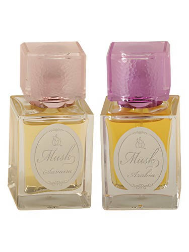 عطر ادکلن ماسک ساوانا اند عربیا یاس پرفیومز - Musk Savana and Arabia Yas Perfumes - بررسی، قیمت و خرید