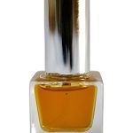 عطر ادکلن نیویورک من ان ویاج پرفیومز - New York Man En Voyage Perfumes - بررسی، قیمت و خرید