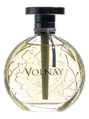 عطر ادکلن آمبر د سیام ولنه - Ambre de Siam Volnay - بررسی، قیمت و خرید