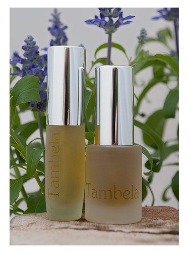 عطر ادکلن اسپایرال تامبلا نچرال پرفیومز - Spiral Tambela Natural Perfumes - بررسی، قیمت و خرید