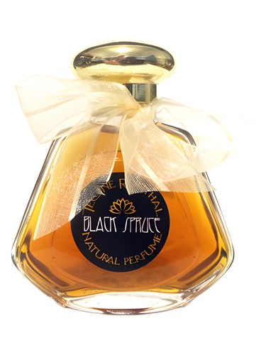 عطر ادکلن بلک اسپروس ترنپ - Black Spruce TRNP - بررسی، قیمت و خرید