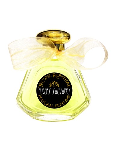 عطر ادکلن فلور ساواژ ترانپ - Fleurs Sauvages TRNP - بررسی، قیمت و خرید