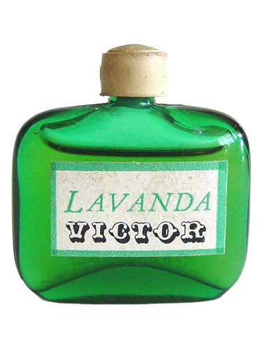 عطر ادکلن لاوندا ویکتور - Lavanda Victor - بررسی، قیمت و خرید