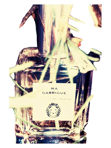 عطر ادکلن ما گاریگ تیری بلوندئو - Ma Guarrigue Thierry Blondeau - بررسی، قیمت و خرید