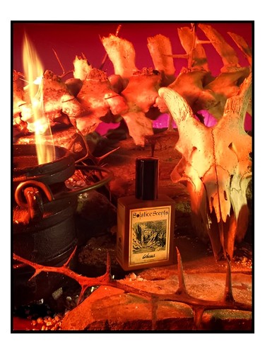 عطر ادکلن جهنم سولستیس سنتس - Gehenna Solstice Scents - بررسی، قیمت و خرید