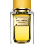 عطر ادکلن ولوت جینسترا دولچه گابانا - Velvet Ginestra Dolce&Gabbana - بررسی، قیمت و خرید