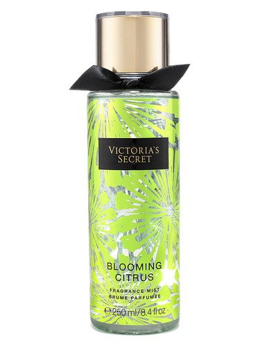 عطر ادکلن بلومینگ سیترس ویکتوریا سیکرت - Blooming Citrus Victoria's Secret - بررسی، قیمت و خرید