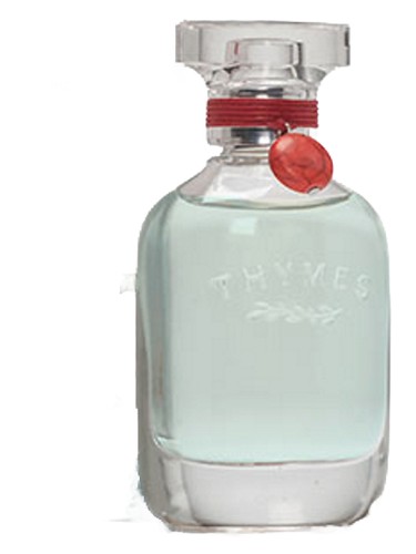 عطر ادکلن آکوا کورالاین تایمز - Aqua Coralline Thymes - بررسی، قیمت و خرید