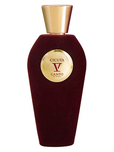 عطر ادکلن سی‌کیوتا وی کانتو - Cicuta V Canto - بررسی، قیمت و خرید