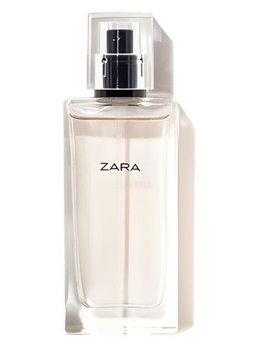 عطر ادکلن ال ایکس ایکس ایکس وی زارا - LXXXV Zara - بررسی، قیمت و خرید