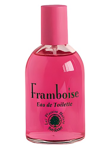 عطر ادکلن فرامبواز نوزده نود و نه ایو روشه - Framboise 1999 Yves Rocher - بررسی، قیمت و خرید