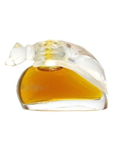 عطر ادکلن بورلی هیلز گیل هایمن - Beverly Hills Gale Hayman - بررسی، قیمت و خرید