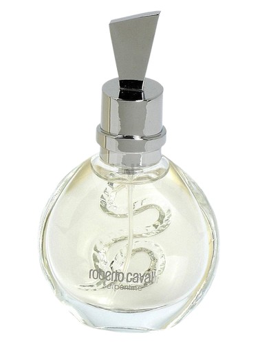 عطر ادکلن سرپنتاین سیلور روبرتو کاوالی - Serpentine Silver Roberto Cavalli - بررسی، قیمت و خرید