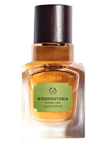 عطر ادکلن ویدرینگتونیا بادی شاپ - Widdringtonia The Body Shop - بررسی، قیمت و خرید