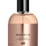 عطر ادکلن ویِنتِر فیگ اچ اند ام - Winter Fig H&M - بررسی، قیمت و خرید