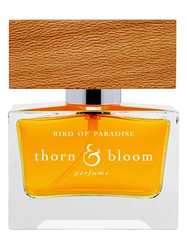 عطر ادکلن برد آو پارادایس ثورن اند بلوم - Bird of Paradise Thorn & Bloom - بررسی، قیمت و خرید