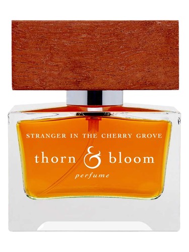 عطر ادکلن استرینجر این د چری گروو ترن اند بلوم - Stranger in the Cherry Grove Thorn & Bloom - بررسی، قیمت و خرید