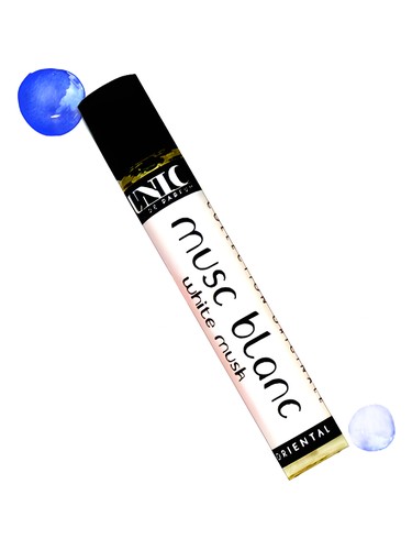 عطر ادکلن ماسک بلانک یونیک - Musk Blanc Unic - بررسی، قیمت و خرید