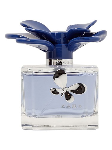عطر ادکلن زارا اکس وای زن اینتنس زارا - Zara LXXXV Woman Intense Zara - بررسی، قیمت و خرید