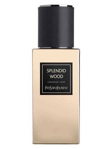 عطر ادکلن اسپلندید وود ایو سن لوران - Splendid Wood (Le Vestiaire des Parfums) Yves Saint Laurent - بررسی، قیمت و خرید