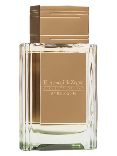 عطر ادکلن استرِنگث ارمنجیلدو زگنا - Strength Ermenegildo Zegna - بررسی، قیمت و خرید