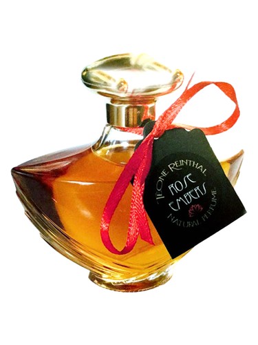 عطر ادکلن رز امبرز ترنپ - Rose Embers TRNP - بررسی، قیمت و خرید