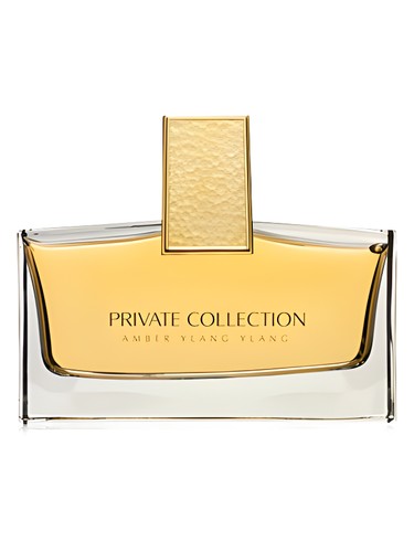 عطر ادکلن پریوت کالکشن امبر یلانگ یلانگ استی لودر - Private Collection Amber Ylang Ylang Estée Lauder - بررسی، قیمت و خرید