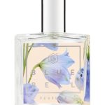 عطر ادکلن بلوبل گود کمستری - Bluebell Good Chemistry - بررسی، قیمت و خرید