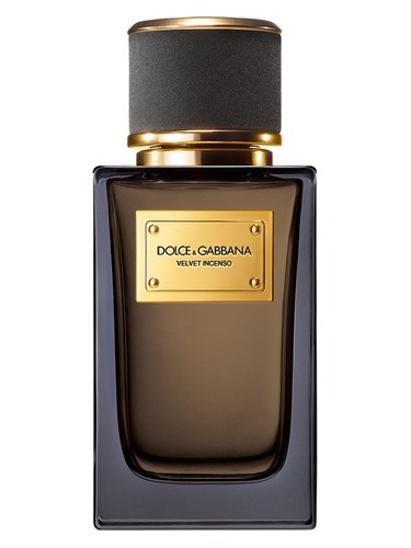 عطر ادکلن ولوت اینسنسو دولچه گابانا - Velvet Incenso Dolce&Gabbana - بررسی، قیمت و خرید