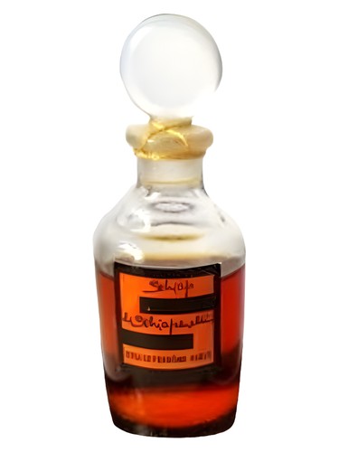 عطر ادکلن سکیپ شیاپارلی - Schiap Schiaparelli - بررسی، قیمت و خرید