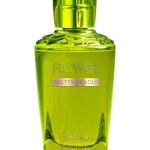 عطر ادکلن جسمین ونوم فلاور درو بریمور - Jasmin Venom Flower Drew Barrymore - بررسی، قیمت و خرید
