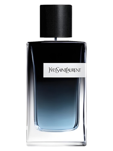 عطر ادکلن وای او دو پرفیوم ایو سن لورن - Y Eau de Parfum Yves Saint Laurent - بررسی، قیمت و خرید