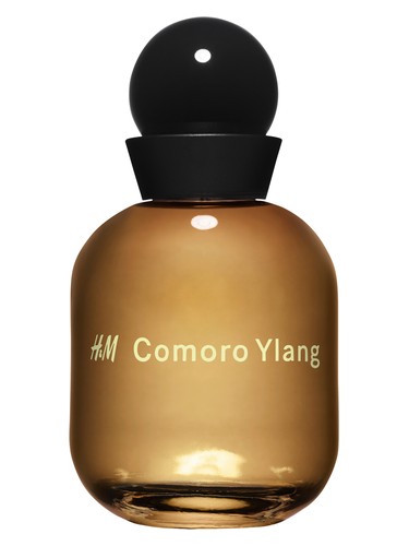 عطر ادکلن اچ اند ام کومورو یلانگ اچ اند ام - H&M Comoro Ylang H&M - بررسی، قیمت و خرید