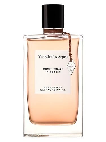 عطر ادکلن رز روژ ون کلیف اند آرپلز - Rose Rouge Van Cleef & Arpels - بررسی، قیمت و خرید