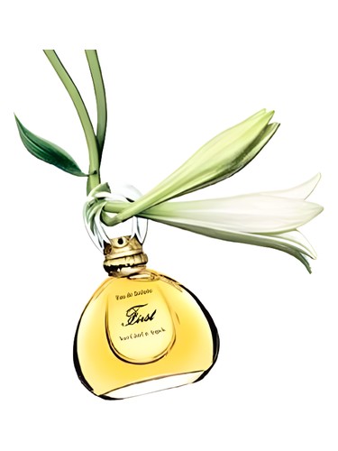 عطر ادکلن فرست جاسمین د چین ون کلیف اند آرپلز - First Jasmin de Chine Van Cleef & Arpels - بررسی، قیمت و خرید
