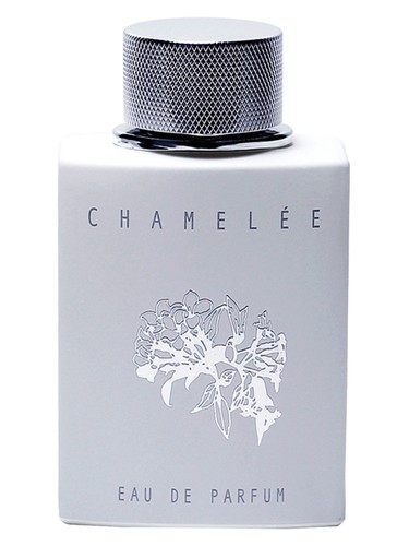 عطر ادکلن چامیلی ورد آو جَس - Chamelee World Of Jass - بررسی، قیمت و خرید