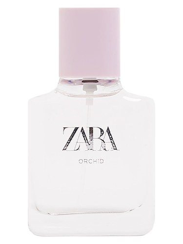 عطر ادکلن ارکید ۲۰۱۹ زارا - Orchid 2019 Zara - بررسی، قیمت و خرید