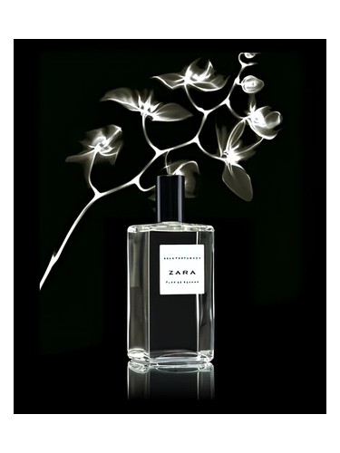 عطر ادکلن فلور د آزاهار زارا - Flor de Azahar Zara - بررسی، قیمت و خرید