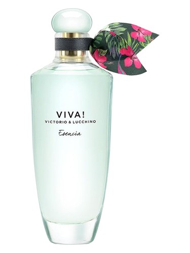 عطر ادکلن ویوا اسنسیا ویکتوریا اند لوچینو - Viva! Esencia Victorio & Lucchino - بررسی، قیمت و خرید