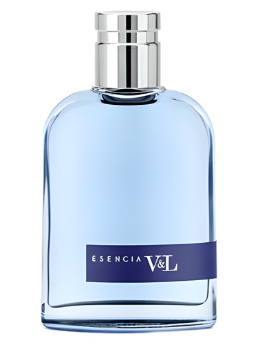 عطر ادکلن اسنزا د ویکتوریو اند لوچینو ویکتوریا اند لوچینو - Esencia de Victorio & Lucchino Victorio & Lucchino - بررسی، قیمت و خرید
